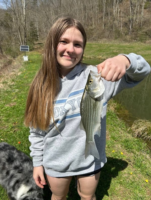 Missing Kentucky teen found hundreds of miles away in Maryland